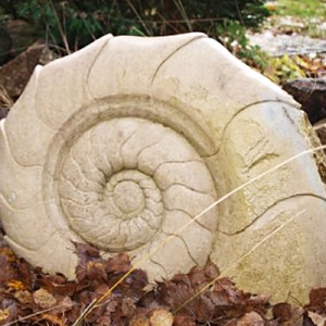Grabstein für Urne in Form eines Ammonits für 950 Euro