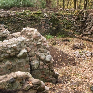 Ruine mit vermoosten Steinen vor der Restaurierung