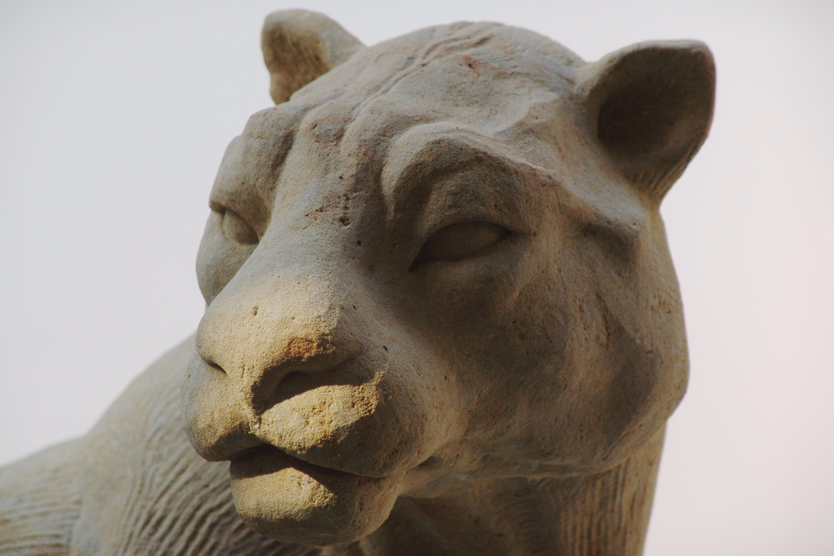 Skulptur aus Sandstein  in Form eines sitzenden Jaguars Nahaufnahme Kopf