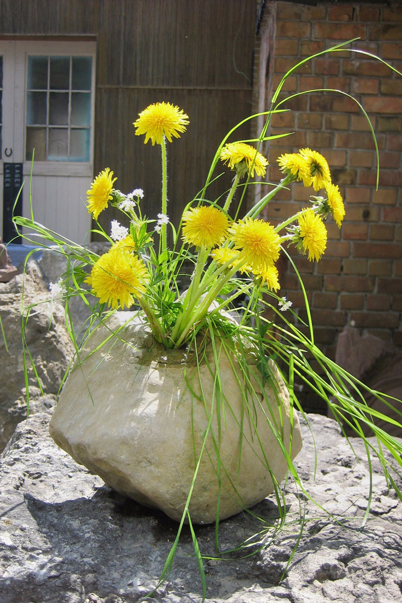 Vase aus Stein mit vielen gelben Blumen
